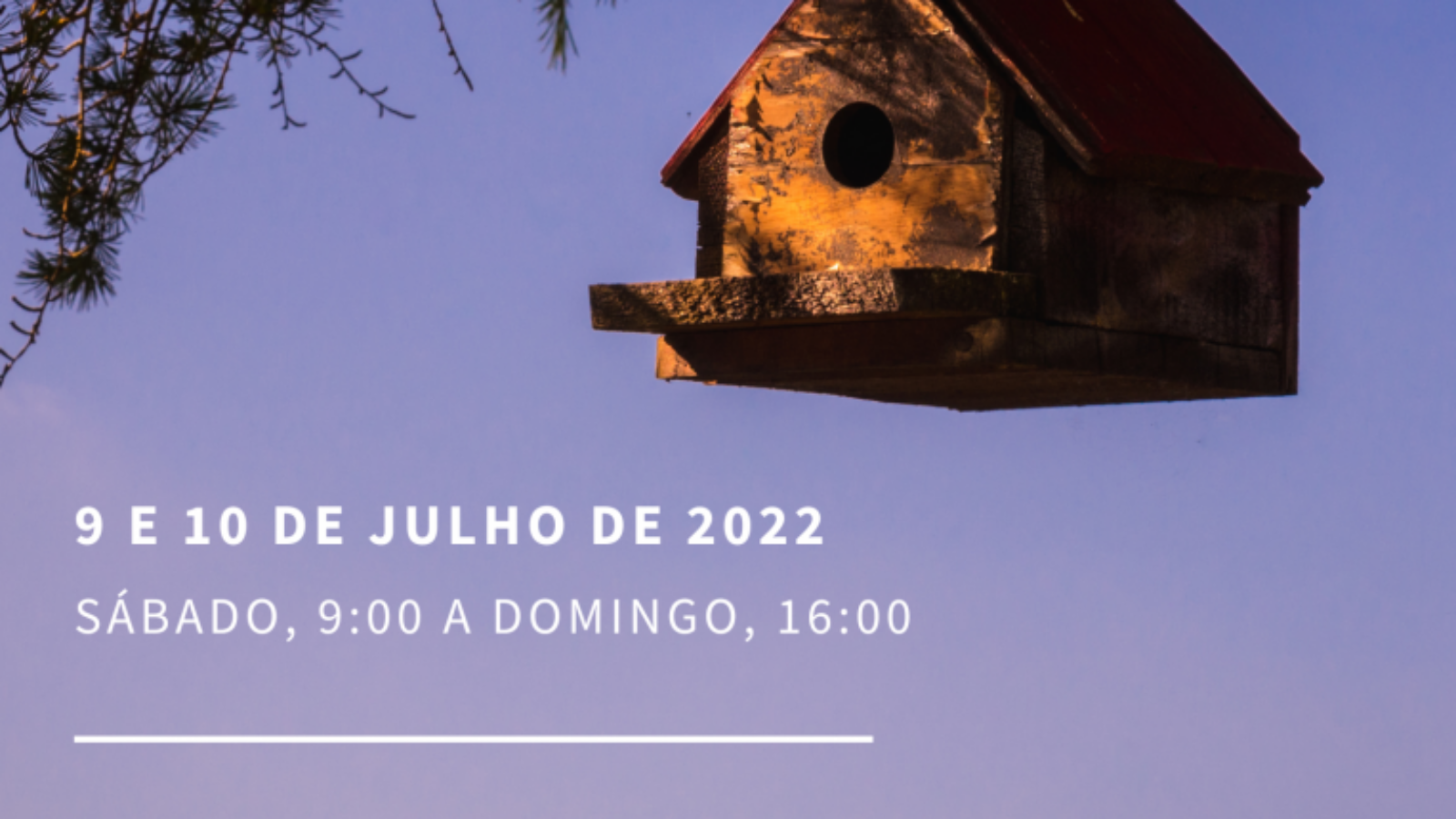 cartaz-zorzaisjulho.png-763x1080