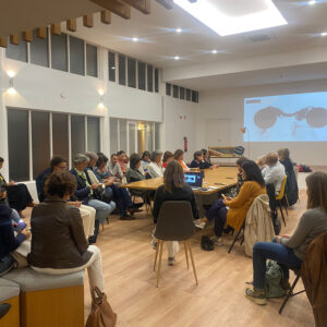 workshop (2)